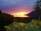Late sunset 30-5-04.jpg